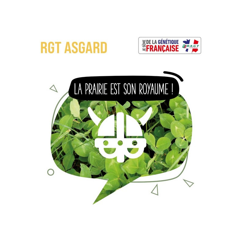 Trèfle blanc nain RGT ASGARD