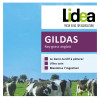 RGA 4N 1/2 GILDAS, Ray-grass Anglais