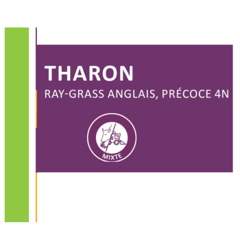 RGA 4N précoce THARON Bio, Ray-grass Anglais Bio