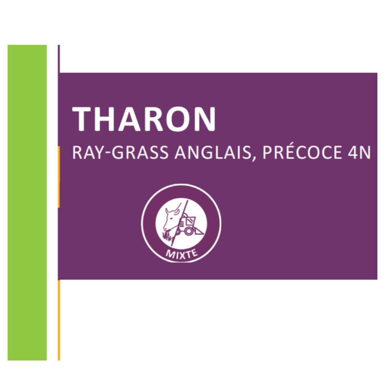 RGA 4N précoce THARON Bio, Ray-grass Anglais Bio