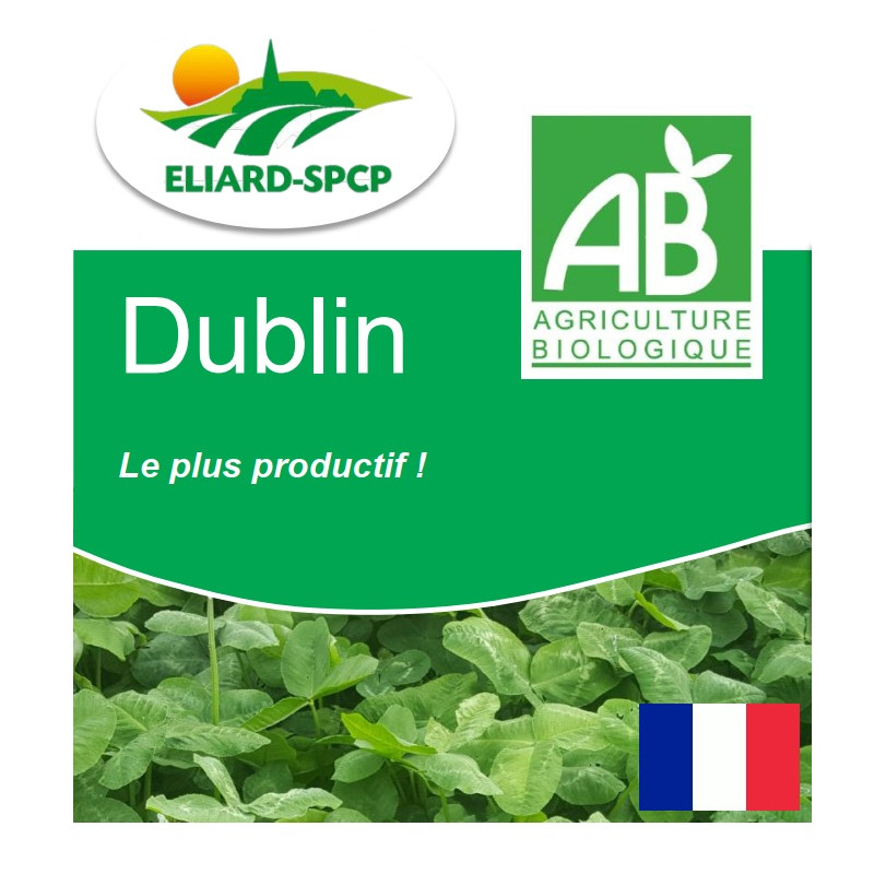 Trèfle blanc inter. DUBLIN Bio