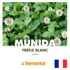 Trèfle blanc géant MUNIDA Bio