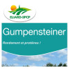 RGH 2N Bio GUMPENSTEINER, Ray-grass Hybride Bio