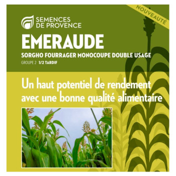 Sorgho ensilage - EMERAUDE