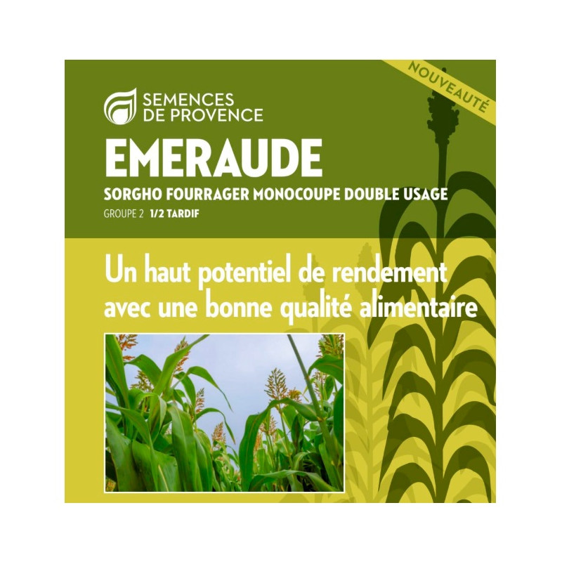 Sorgho ensilage - EMERAUDE