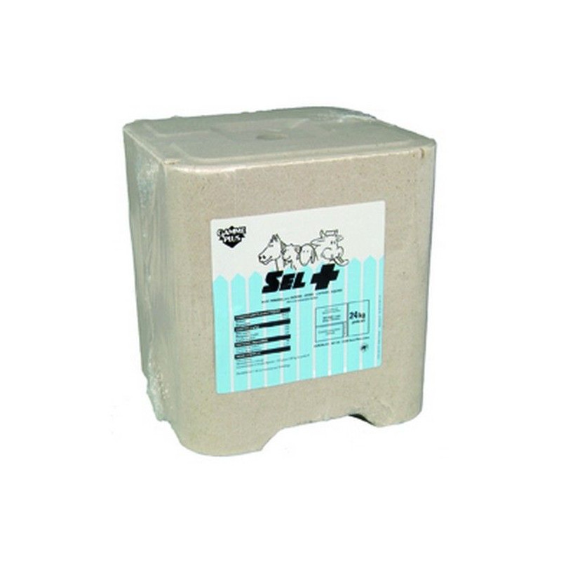 PIERRE DE SEL+ CARREE