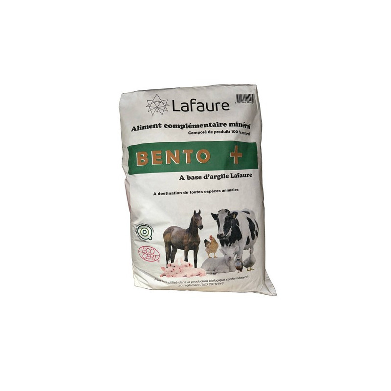 BENTO + / ARGILE BENTO