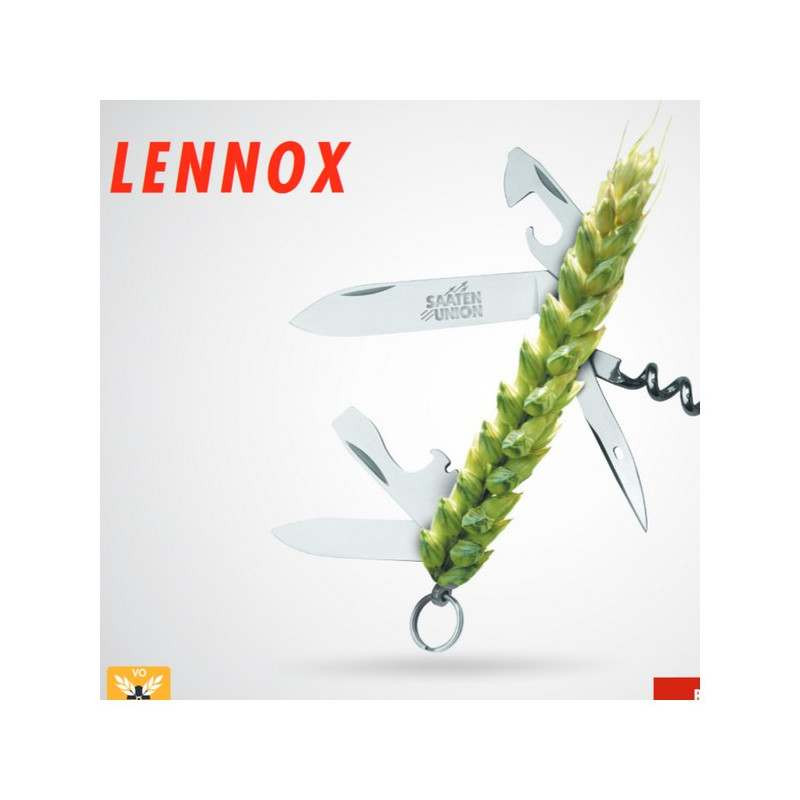 Blé printemps LENNOX