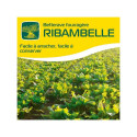 19159-Non traité + ACTIVATION - Dose 50 000 gr
