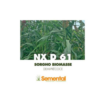 Sorgho Méthanisastion - NXD 61