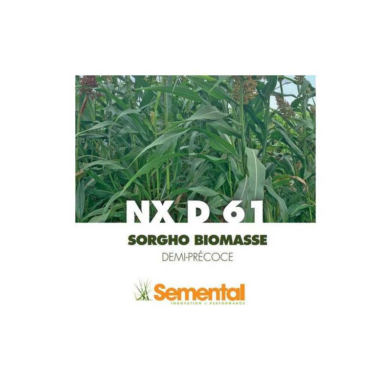 Sorgho Méthanisastion - NXD 61