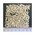 24354-Bigbag 600 kg