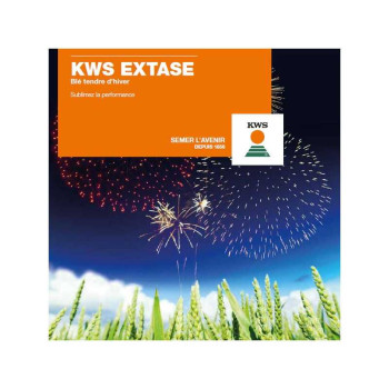 Blé KWS EXTASE