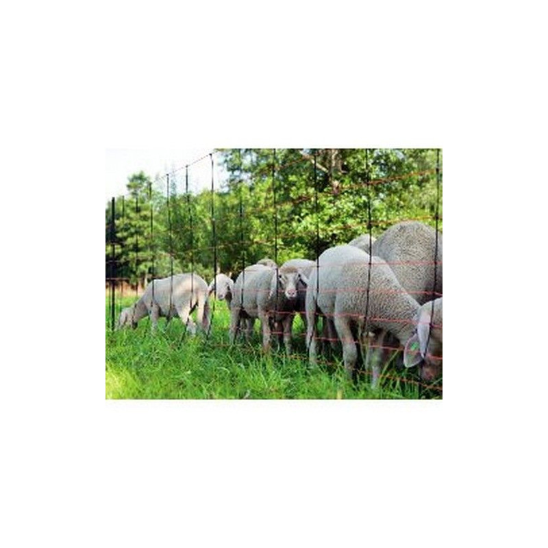 FILET OVINS TITAN NET