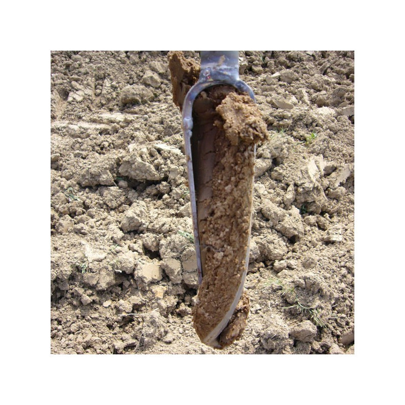 TARIERE TYPE EDELMAN D.50 mm