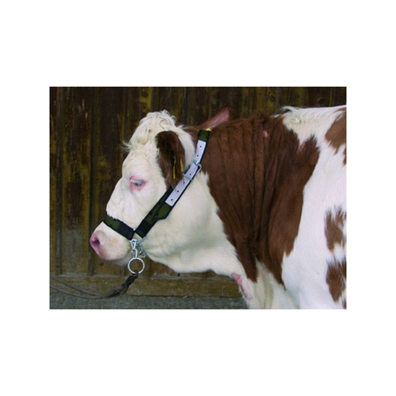 LICOL POUR VACHES RENFORCE CUIR