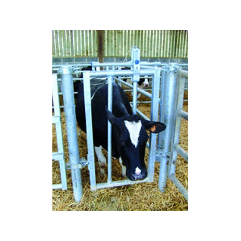 PORTILLON CORNADIS D'INSEMINATION