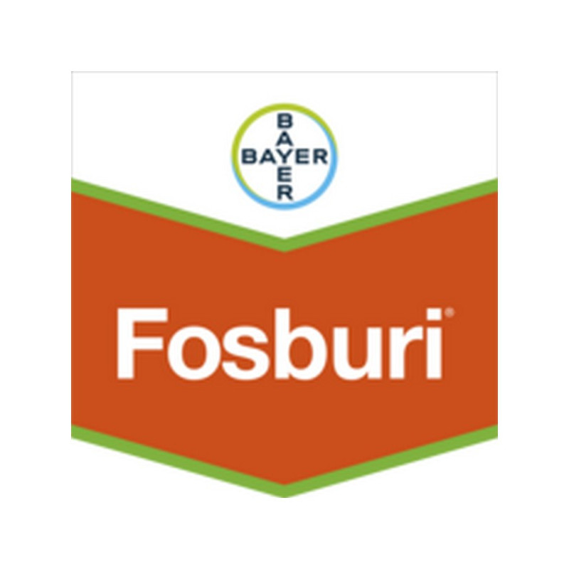 FOSBURI