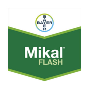 MIKAL FLASH
