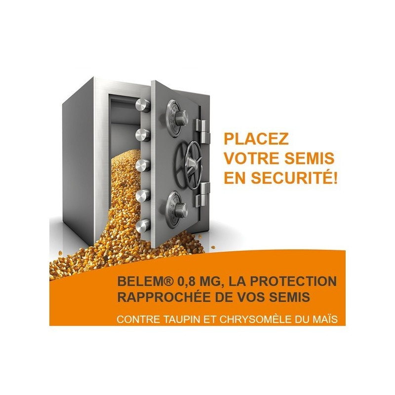 BELEM 0,8 MG