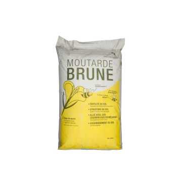 Moutarde brune ETAMINE