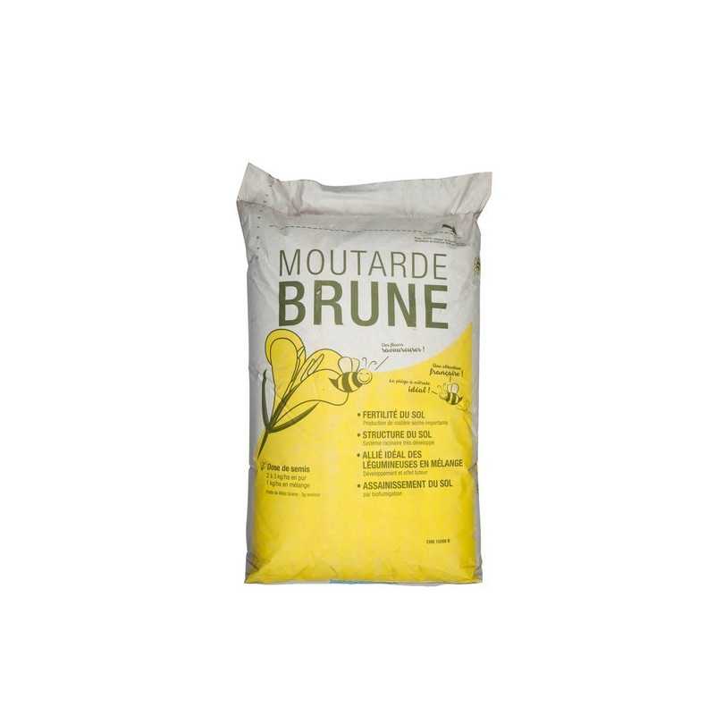 Moutarde brune ETAMINE