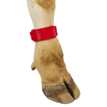 BRACELET DE MARQUAGE EN PVC