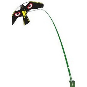 CERF VOLANT ŒIL NOIR BRILLANT + PIVOT