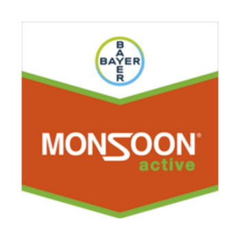 MONSOON ACTIVE