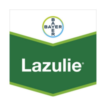 LAZULIE
