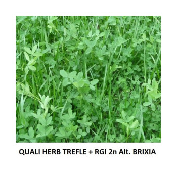 Mélange QUALI HERB' TREFLES