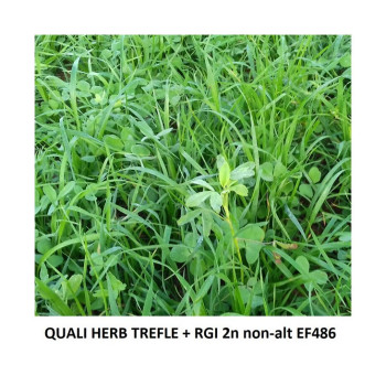 Mélange QUALI HERB' TREFLES