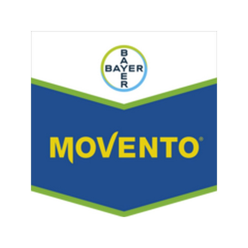 MOVENTO