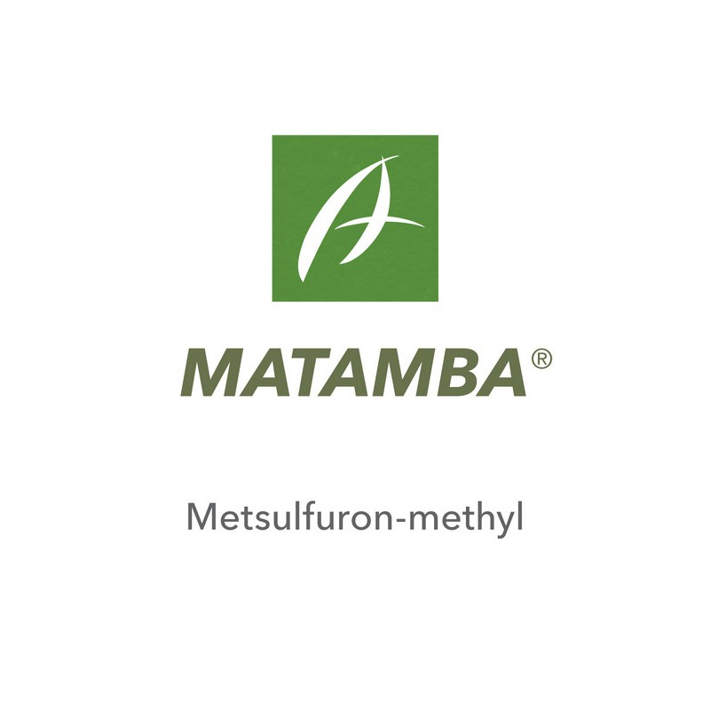 MATAMBA
