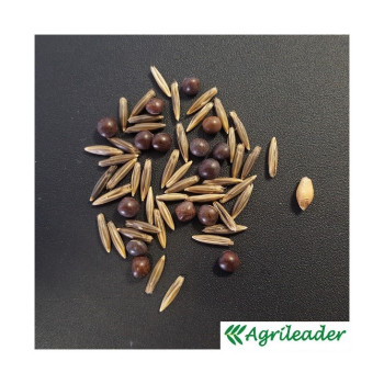 Mélange QUALI HERB' AUTOMNALE AV