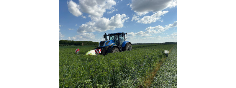 Retour d’expérience – GAEC Le Puits aux Dames (85200 St-Martin-de-Fraigneau)