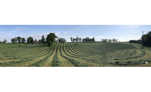 AGRI-REPORTAGE | Ray-grass Hybride dans le cantal.
