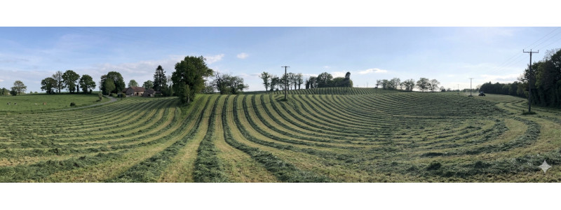 AGRI-REPORTAGE | Ray-grass Hybride dans le cantal.