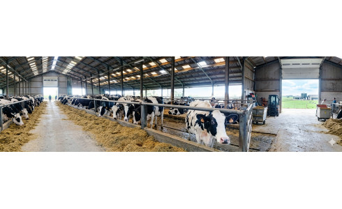 AGRI-REPORTAGE : Réussir le sevrage des veaux