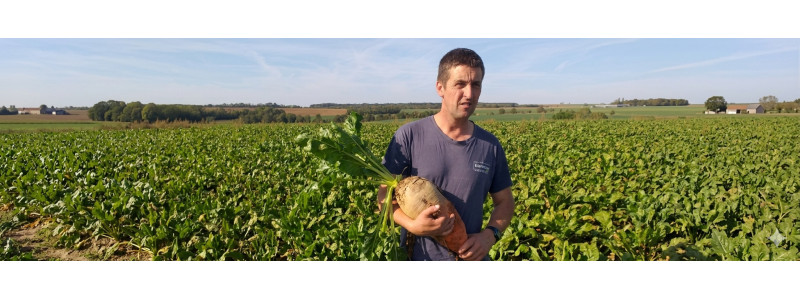 AGRI-REPORTAGE | Betterave fourragère RIBAMBELLE 